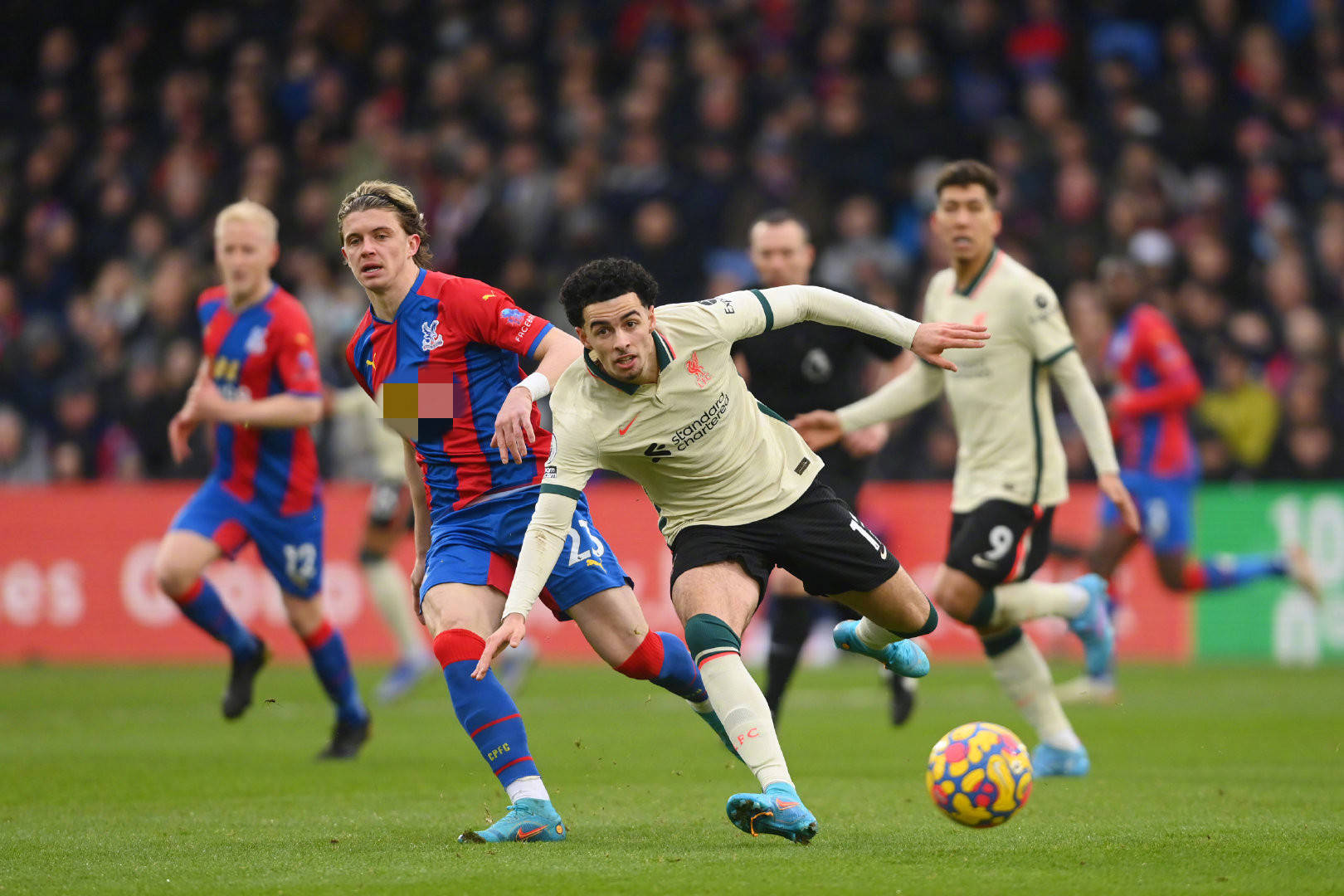 训练和对细 训练和对细