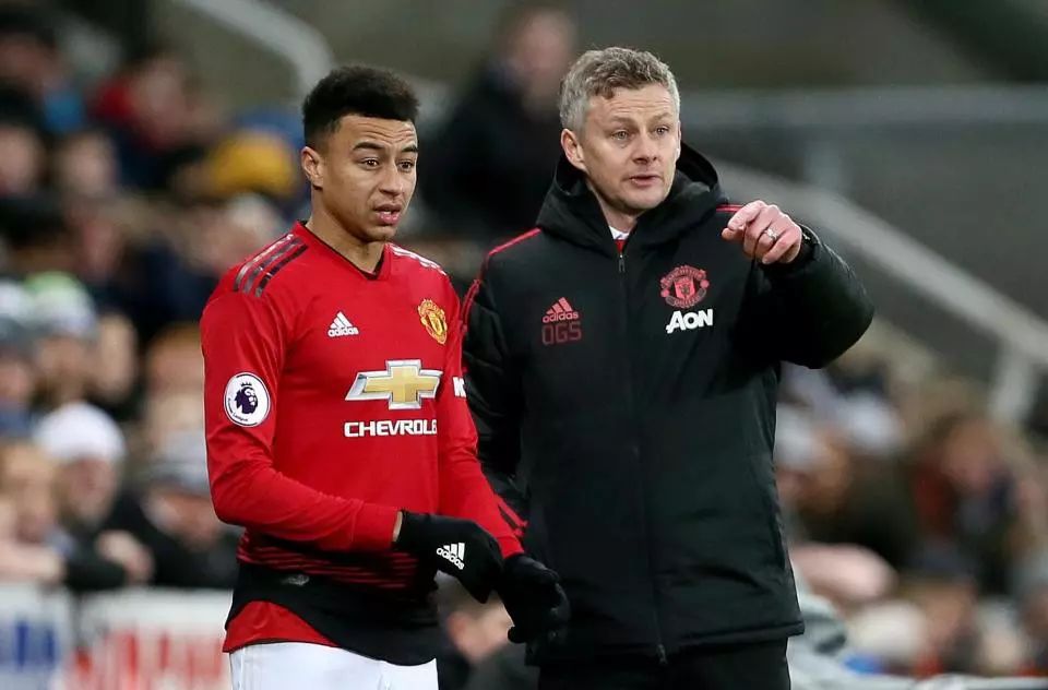 只有蒂姆 只有蒂姆