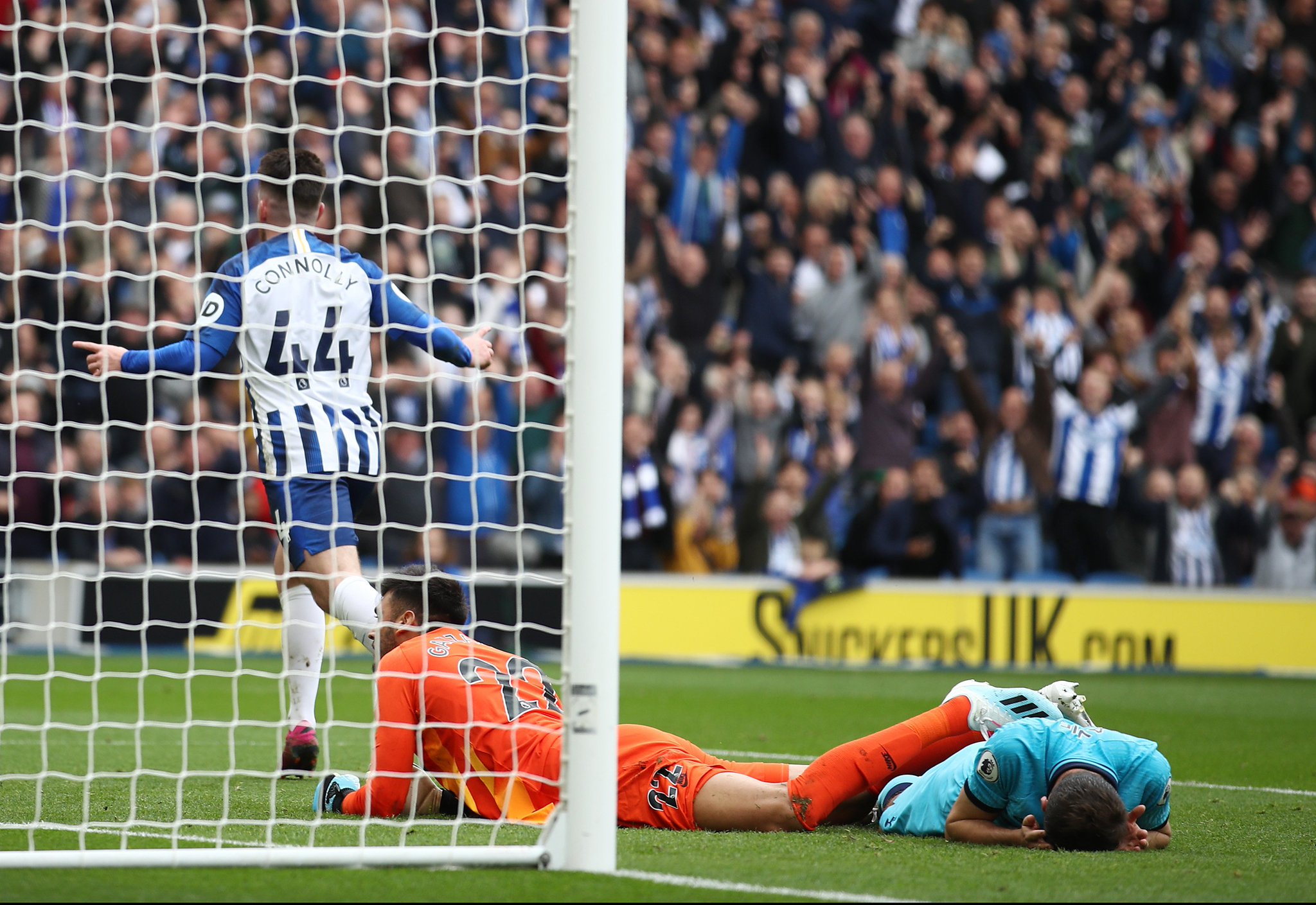 全员健康的 全员健康的